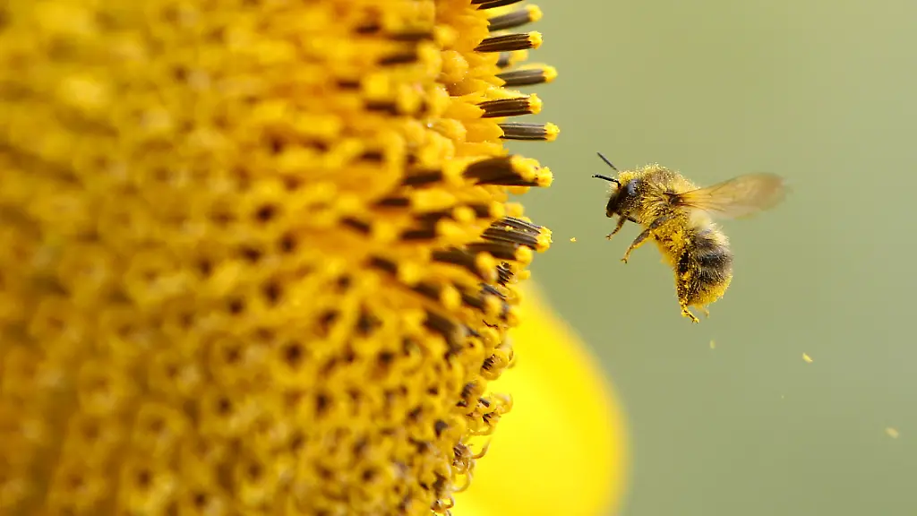 38050206-jpg5296834361737410548