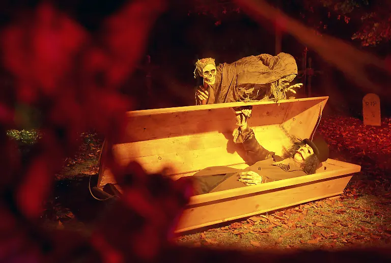 DAB2590-20121031-jpg3784415561682622724