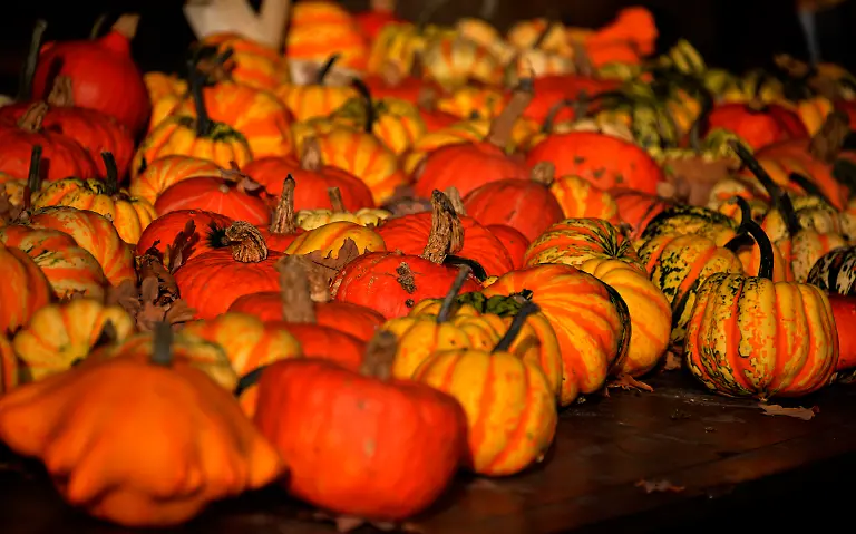 DI10118-20121031-jpg8493014555841607709