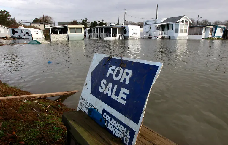 DAB1918-20121030-jpg4628663742853545541