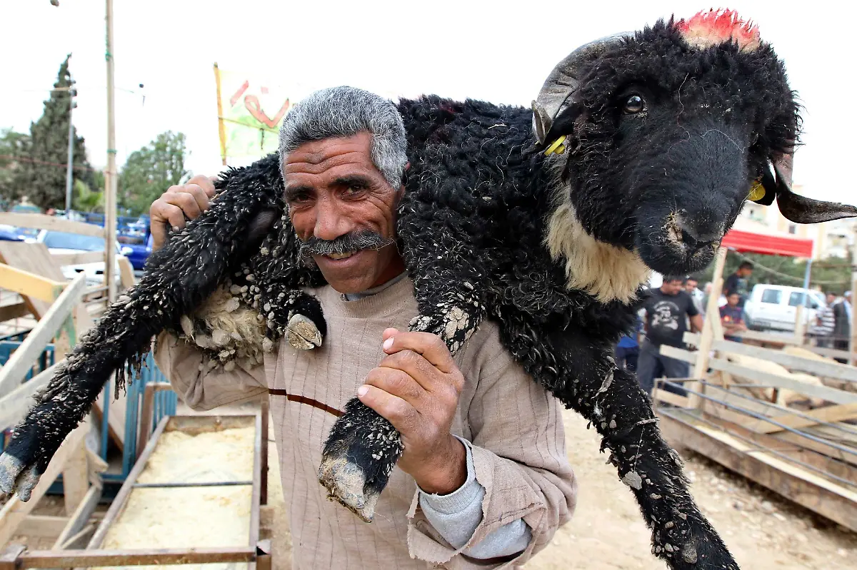 2012-10-24T220814Z-01-AMM70-RTRMDNP-3-JORDAN-JPG4864162230267344941