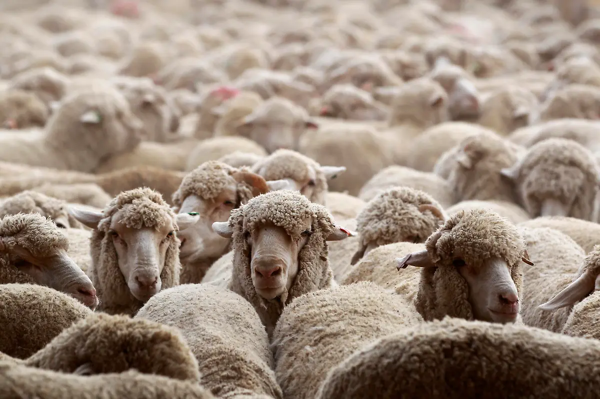 2012-10-24T191023Z-01-AMM75-RTRMDNP-3-JORDAN-JPG8427337924102121361