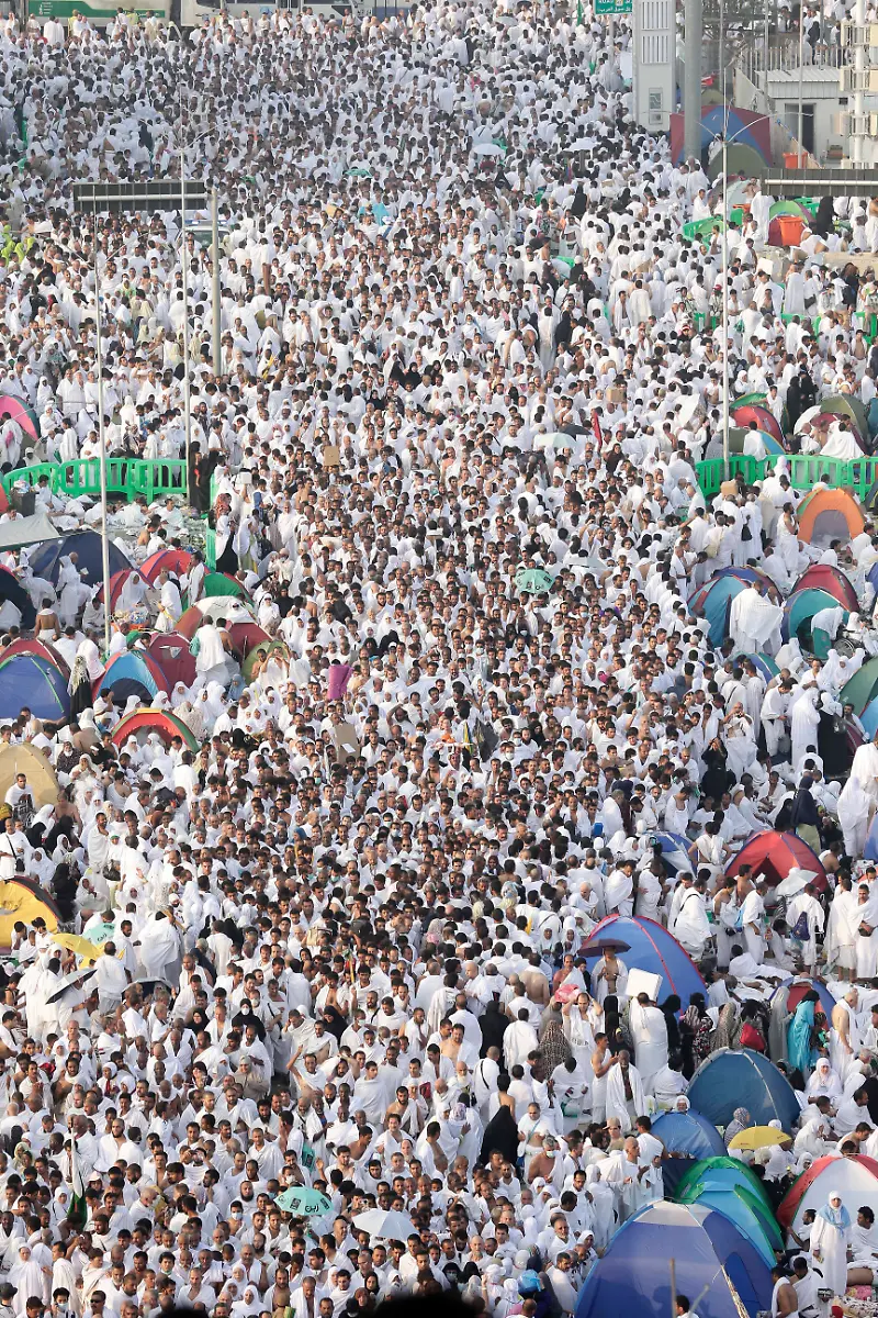 DAB1685-20121025-jpg3593602151763104688