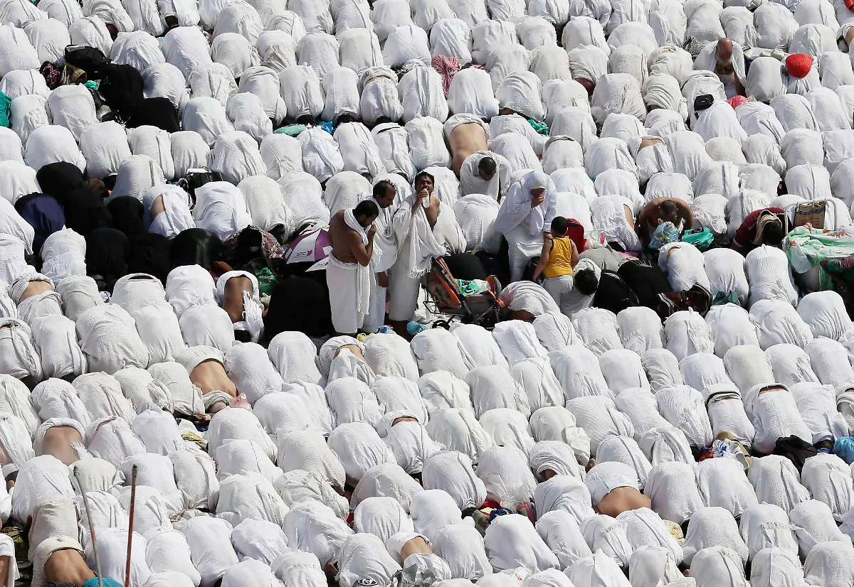 DAB1996-20121025-jpg6967629224124668861