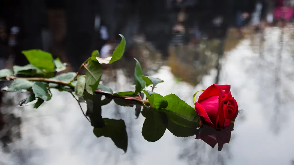 2012-10-24T122058Z-01-TPE11-RTRMDNP-3-GERMANY-JPG3900606688158786939