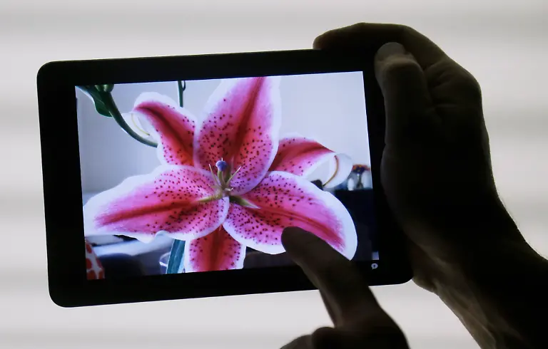 DAB4144-20121023-jpg7541319499795627503