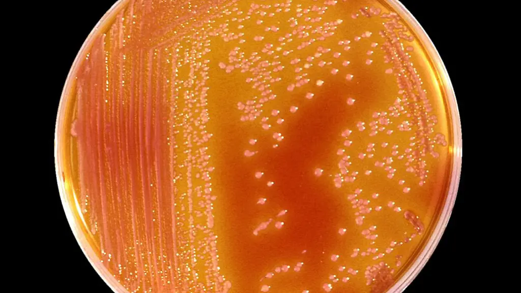 DI30042-20121022-jpg1305848285911122548