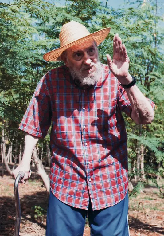 DAB0881-20121022-jpg7440190222703790532