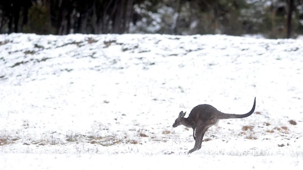 37ln3636-jpg6509489435056515131