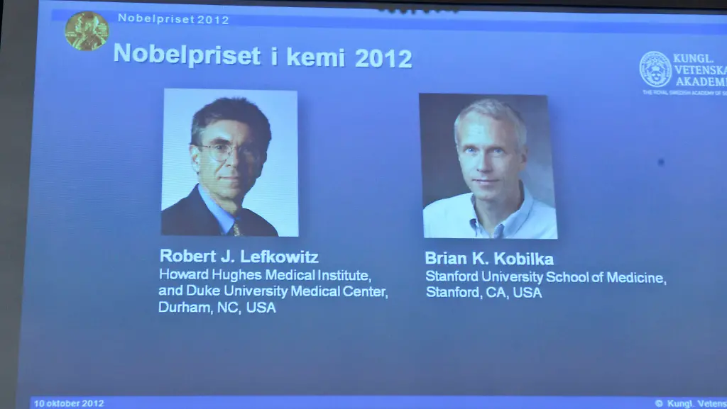2012-10-10T101735Z-01-STO03-RTRMDNP-3-NOBEL-CHEMISTRY-JPG4592225319311479642