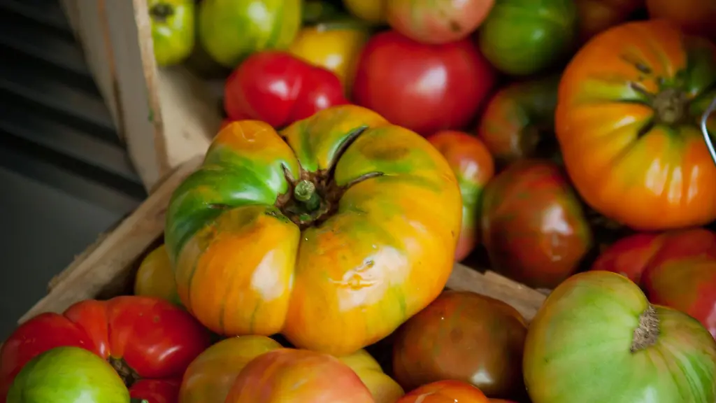 DAB2513-20121002-jpg8792471158634542877