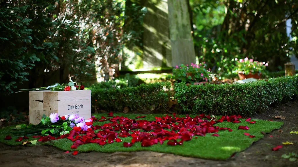 37j12028-jpg2762914055054221636