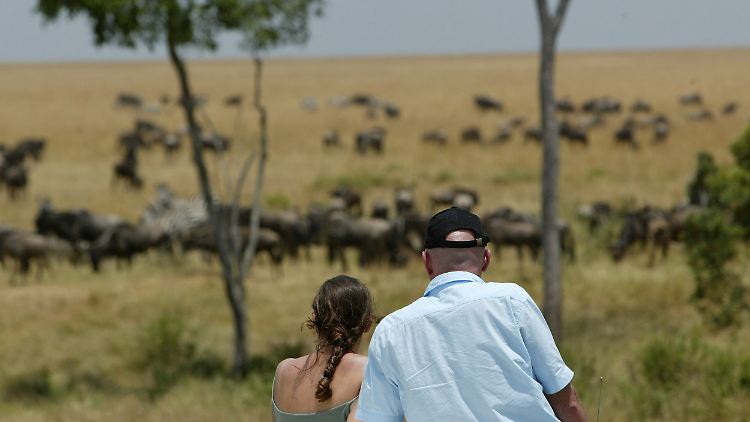 Die Wanderungen der riesigen Tierherden sind ein Naturschauspiel, das viele Reisende anzieht.