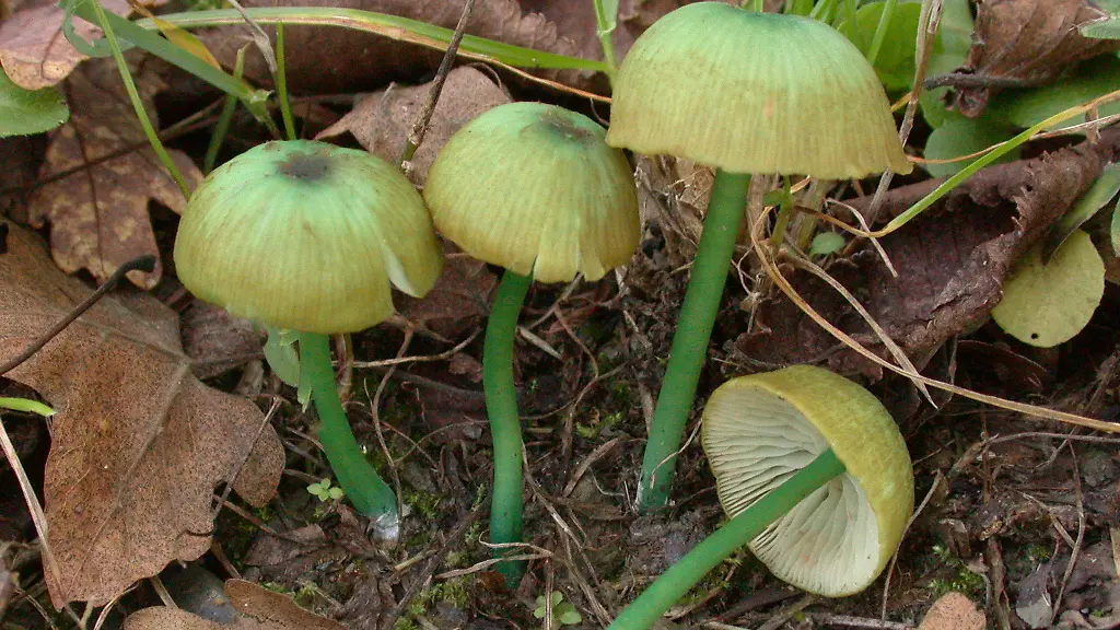 37g00154-jpg4578104382721139605