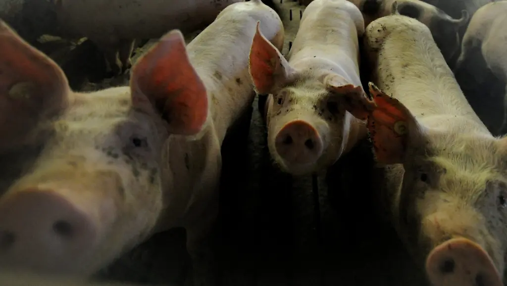 37fh0514-jpg23769060967429580