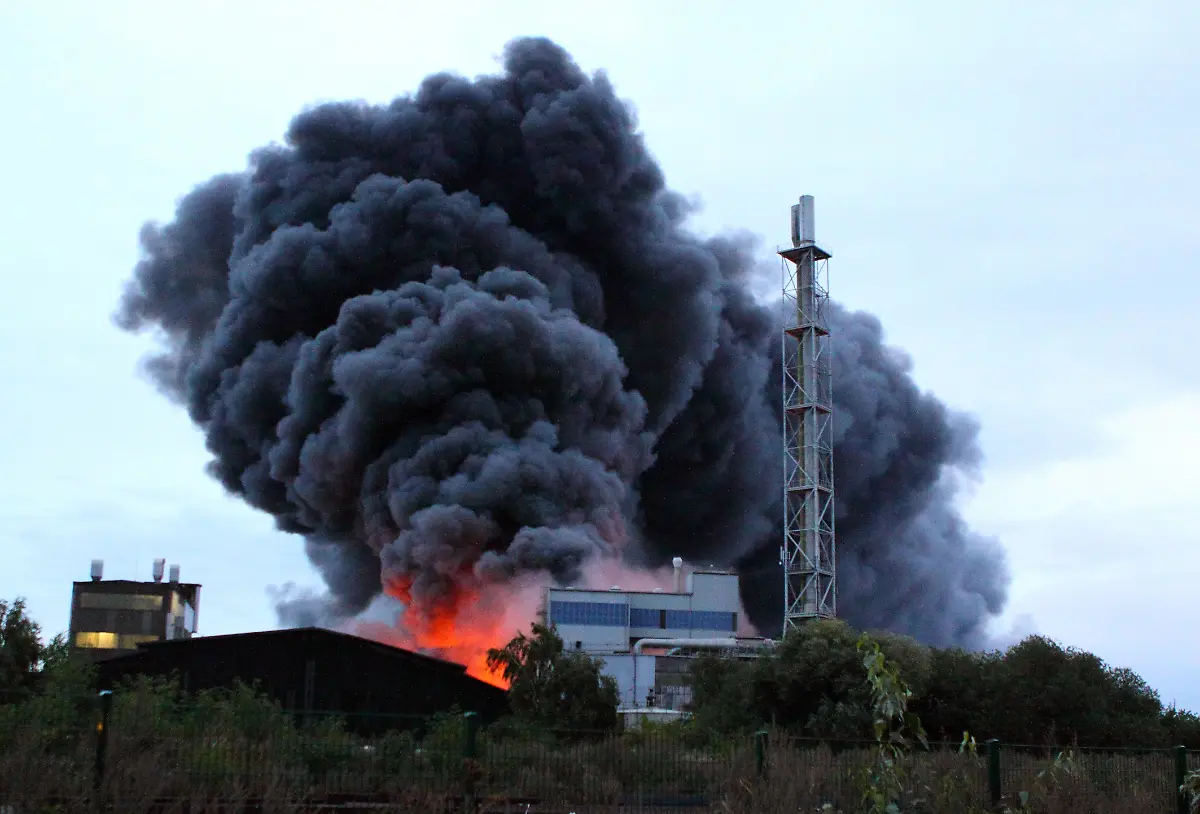 DI10126-20120925-jpg4702691401836703465