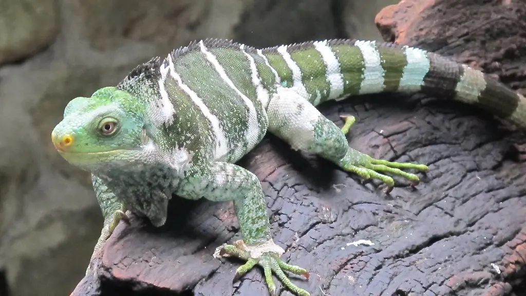 379e0020-jpg4123321986272570084