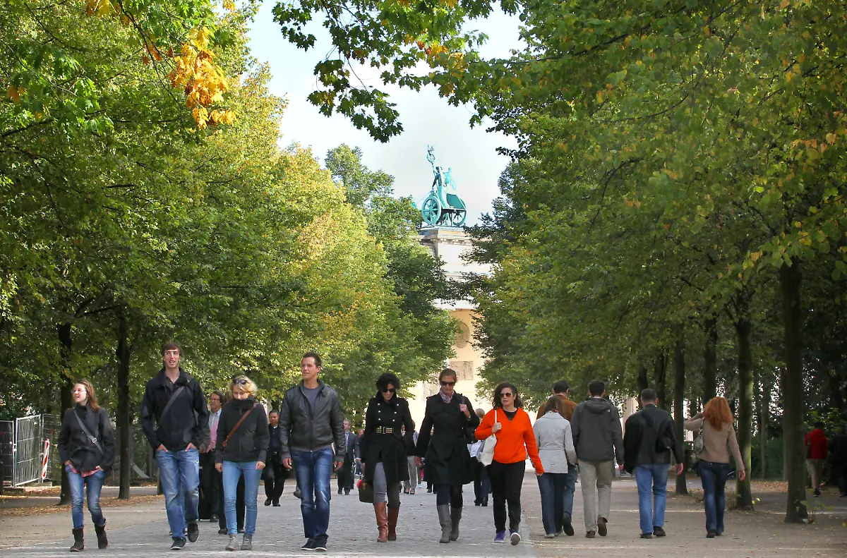 378g1015-jpg4165258900636362372