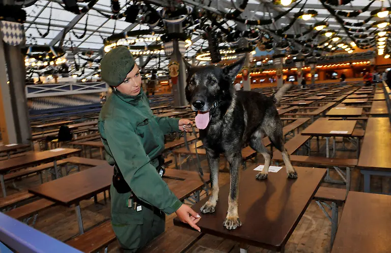 377l0220-jpg4036170648737245939