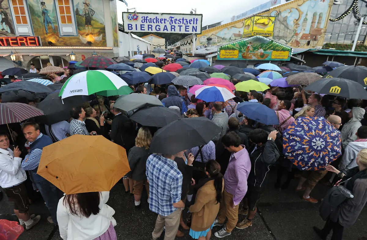 377l3341-jpg3530572361259706646