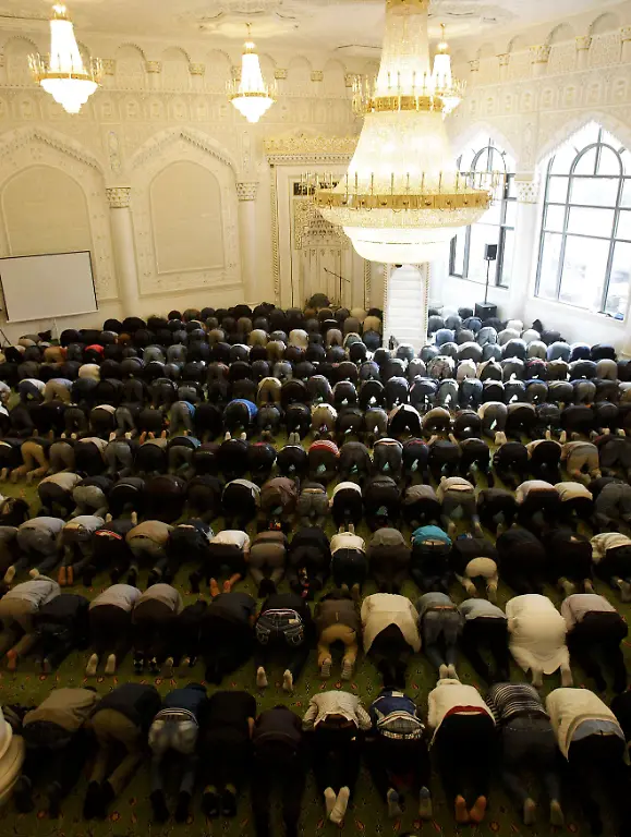 2012-09-21T153308Z-01-AA01-RTRMDNP-3-GERMANY-JPG7732098593471078960