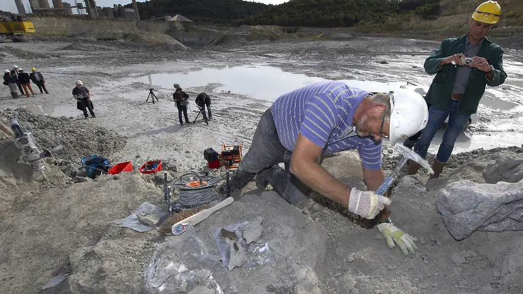 376l0402-jpg7983645138965774153