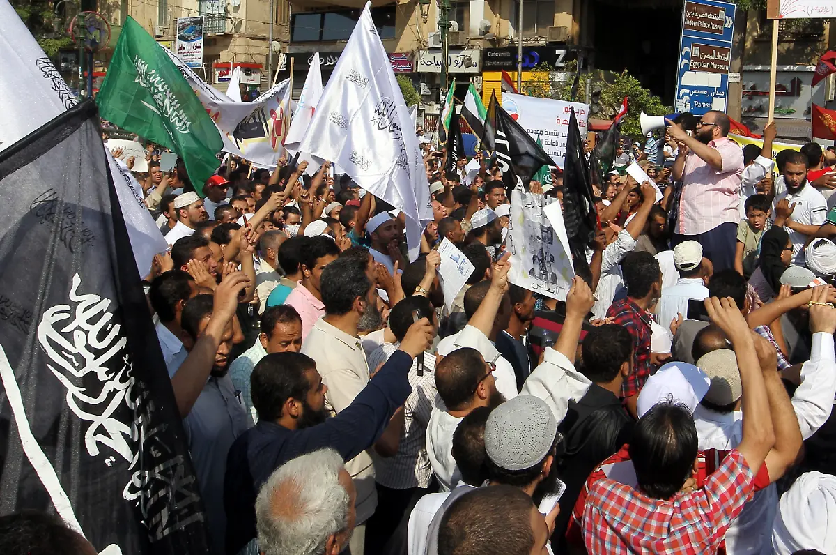 372k0336-jpg6622643449629443904