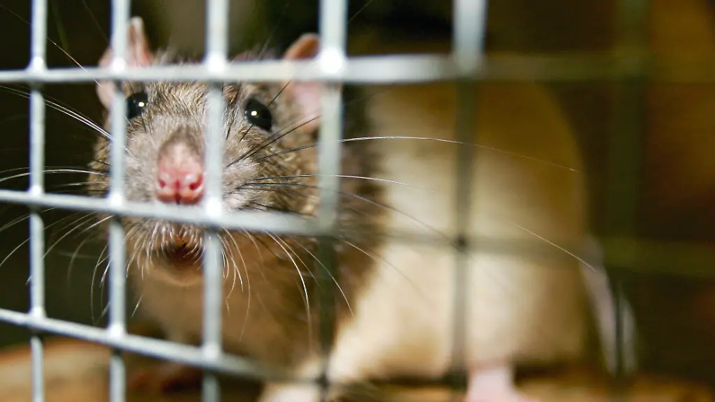 375t5523-jpg2802810914235244150