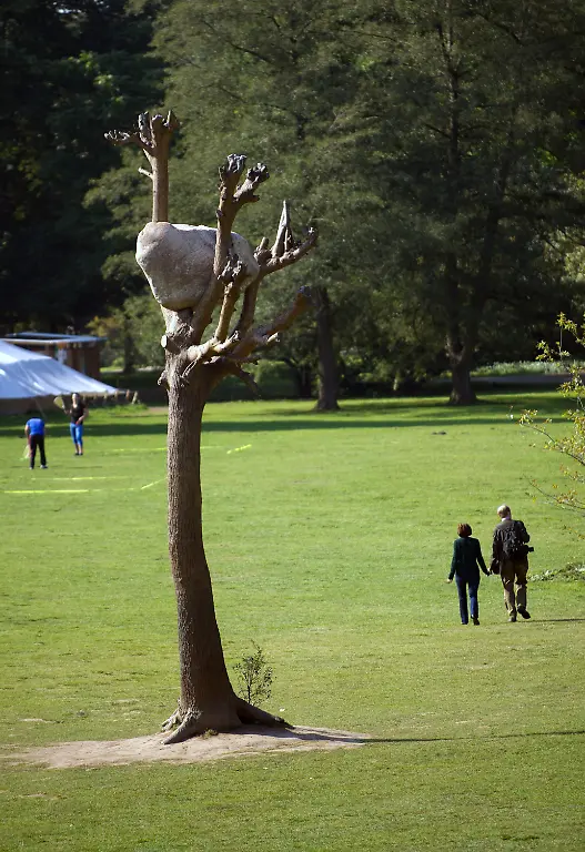 374c3457-jpg4113917270652274548