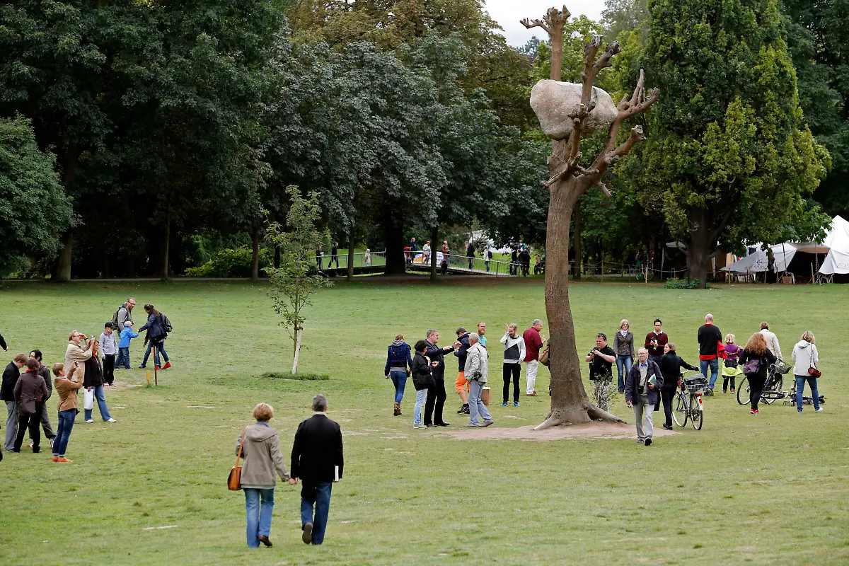 DI10198-20120915-jpg933182427175032975