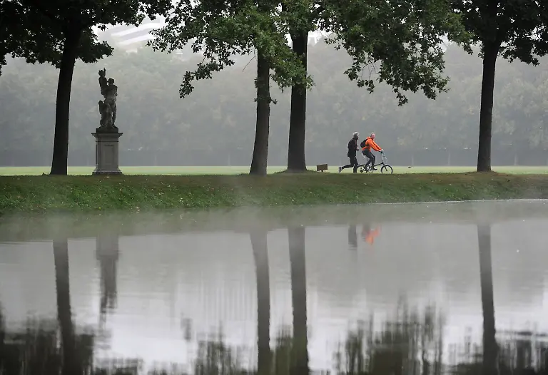 371m2135-jpg2017352504706667173