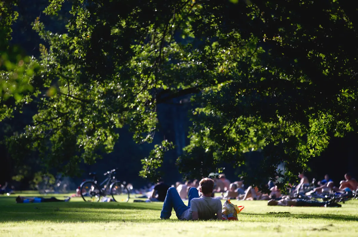 36z60045-jpg693990196705977000