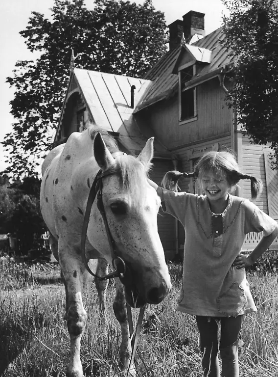 pippi
