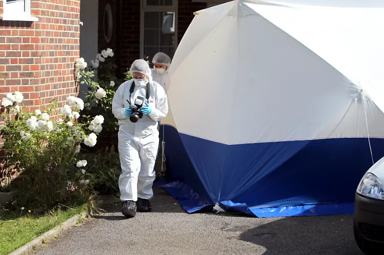 DAB3403-20120908-jpg3032455219055401688