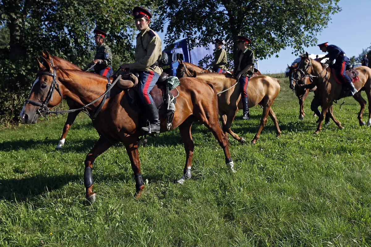 36sk0911-jpg7815532697399812277