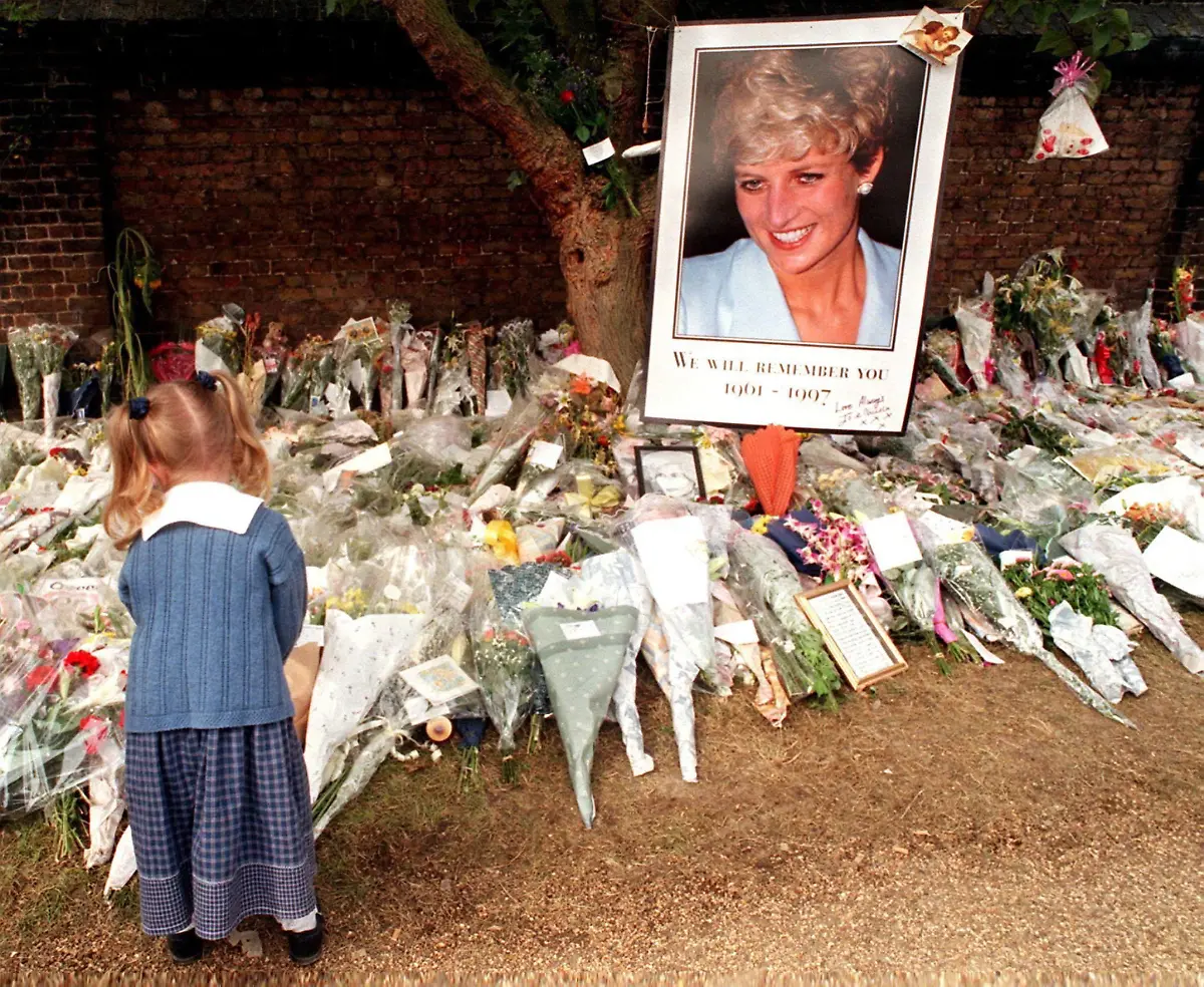 36r02041-jpg1307677839303094976