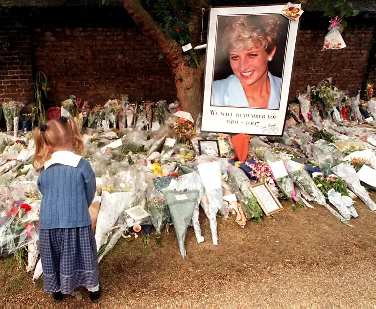 36r02041-jpg1307677839303094976