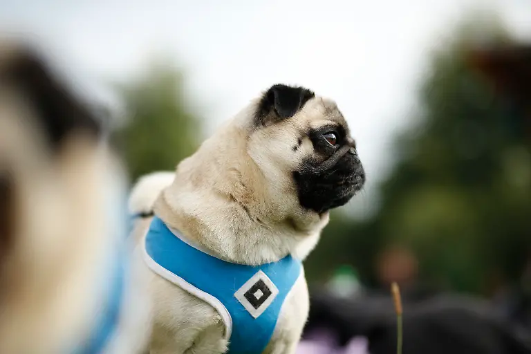 DI30399-20120825-jpg7661174342612434836