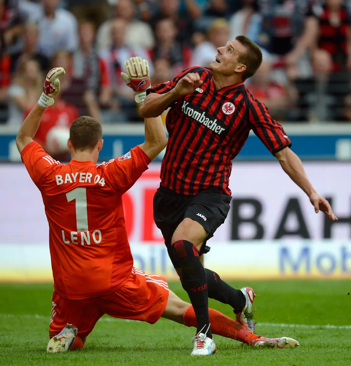 DI30413-20120825-jpg2656678501754628372