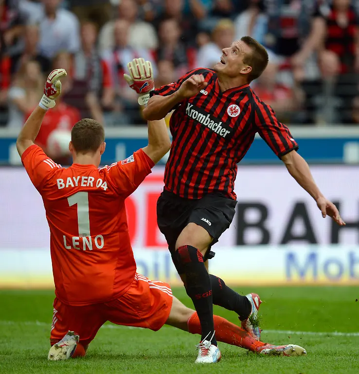 DI30413-20120825-jpg2656678501754628372