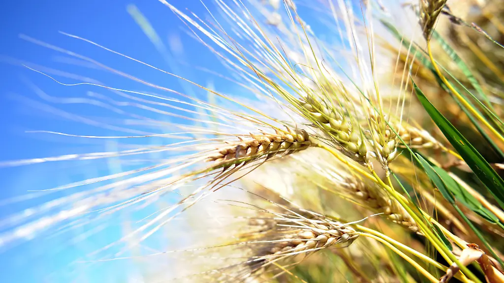 36k93802-jpg8579124437574435779