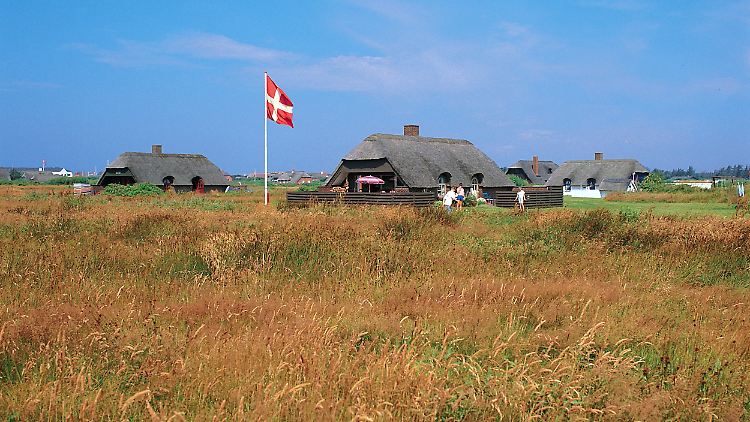 Dänemark ist ein beliebtes Urlaubsland für Deutsche - bei Badeunfällen sind sie überproportional vertreten. (Ferienhaus an der dänischen Nordseeküste im Westen von Jütland)