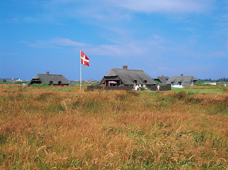 ferienhaus_Dänemark.jpg