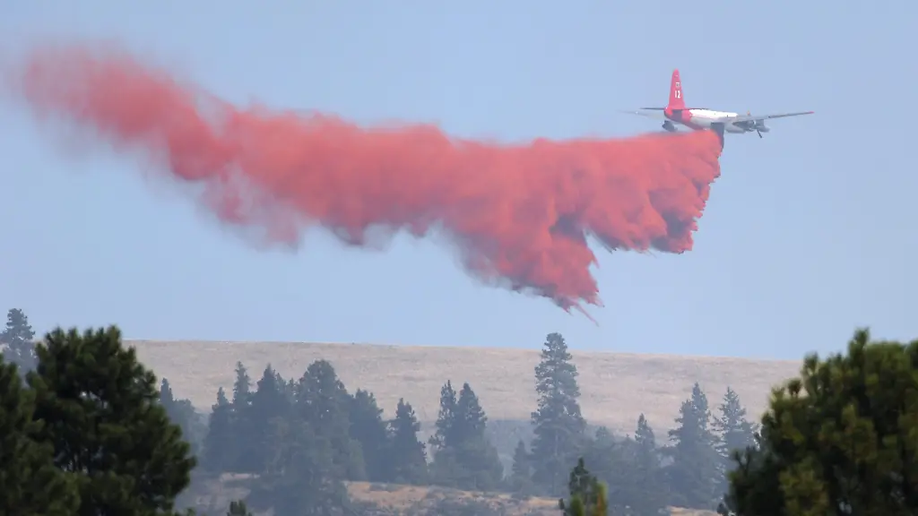 36iw3332-jpg1985657884112144084