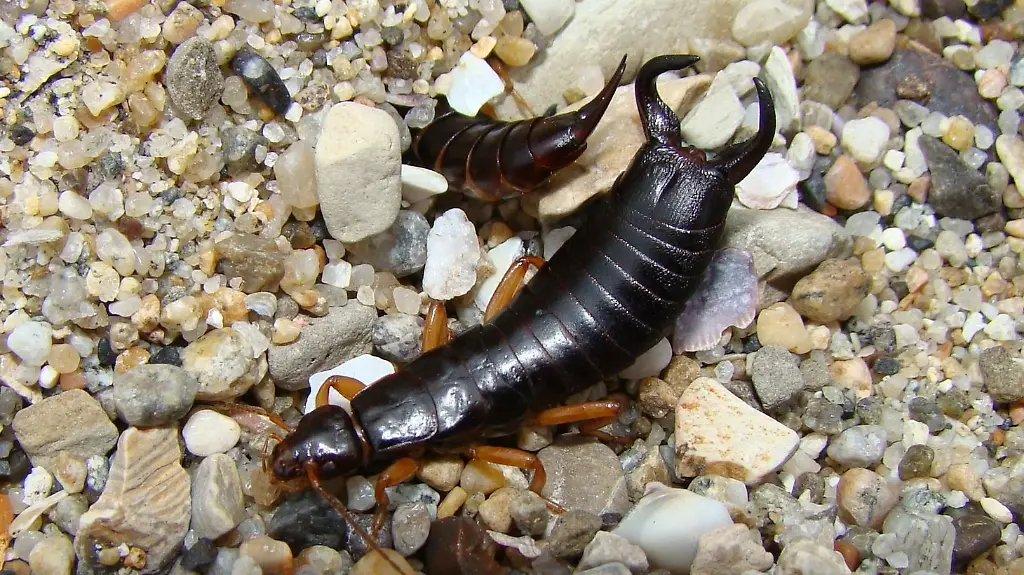 36i90003-jpg1049282494807562981