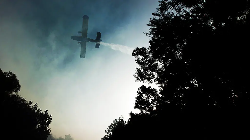 DAB3094-20120812-jpg6508543441393588847