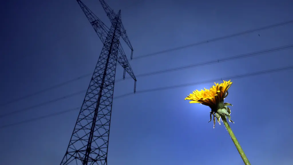 36ho4101-jpg8994744800407514596