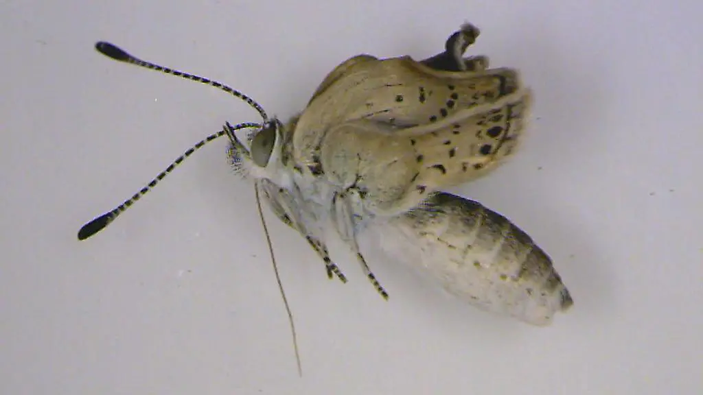 36hm4137-jpg5991415222067143303