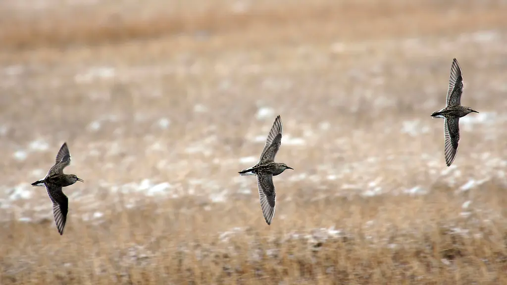 36ea3905-jpg275041339956314582