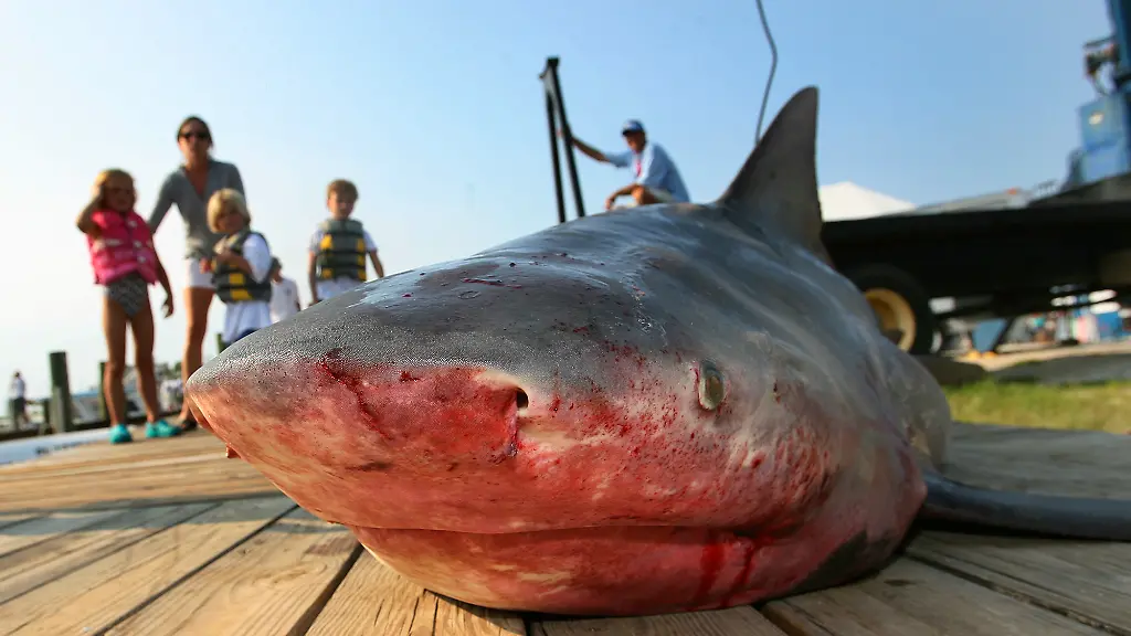 DAB3707-20120801-jpg2238823523666837815